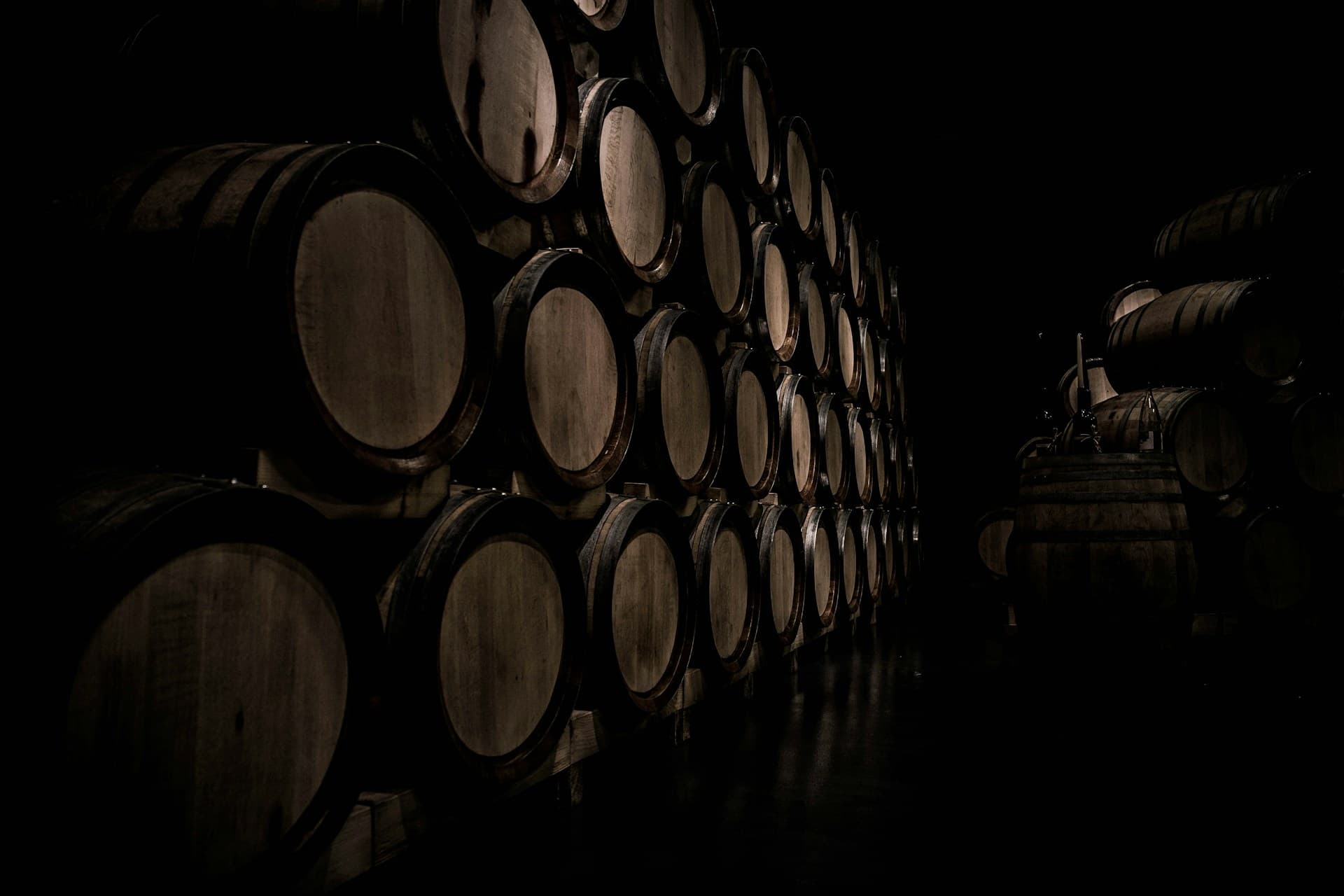 ¿Qué es la crianza del vino en barrica y cómo influye el tipo de madera?